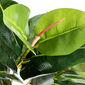 Ficus Elastica artificial, 45 cm