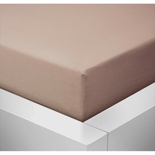 Cearșaf Jersey Standard bej,  180 x 200 cm