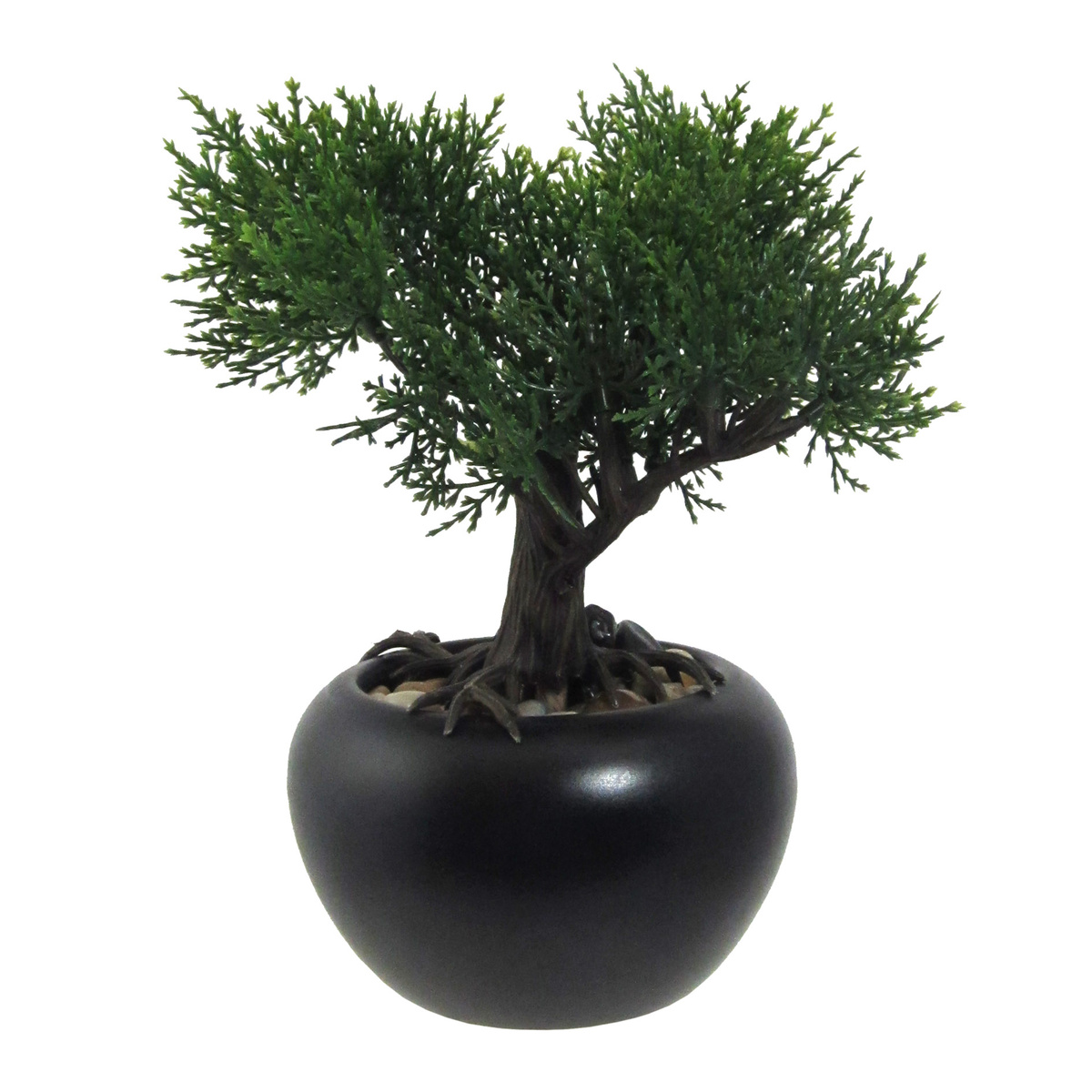 efeutute jade Beautifall® Jade main image 1