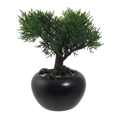 Umetni bonsaj Cedr v lončku zelen, 19 cm