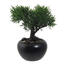 Umělá bonsaj Cedr v květináči zelená, 19 cm
