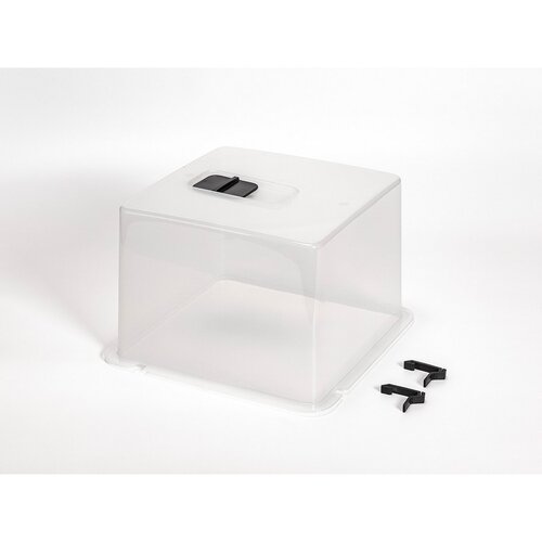 Plastia Berberis Anbaudeckel für UNO-,DUO-, TRIO-Boxen, 33 x 22 cm