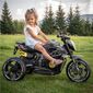 Baby Mix Dětská elektrická motorka Calabre, černá