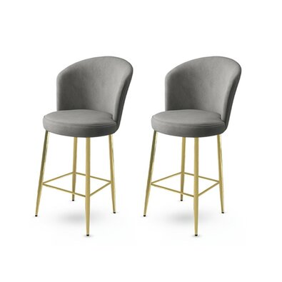 Barstuhl-Set Fora Grey and Gold, 2 Stück