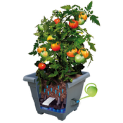 Jardinieră cu auto-irigare Plastia Bergamot 35 x 35 cm, maro