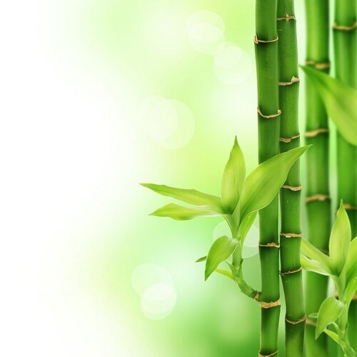 Nakładka na materac Bamboo, 100 x 200 cm