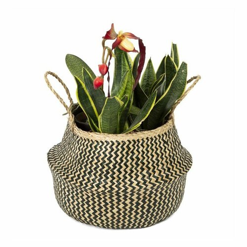Compactor Pletený úložný košík z mořské trávyBelly, 35 x 32 cm, črna