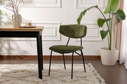 Esszimmerstuhl-Set Nancy Green and Black, 2 Stück