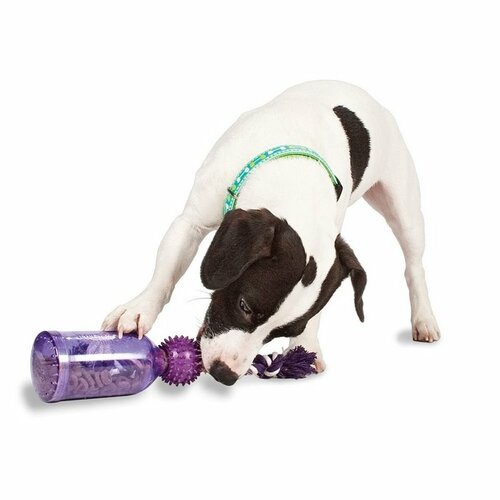 Spezielles Hundespielzeug Tug-a-Jug™ M-L