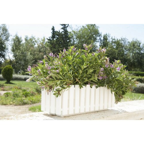 Gardenico Ящик для квітів Fency білий, 50 x 18,5 см