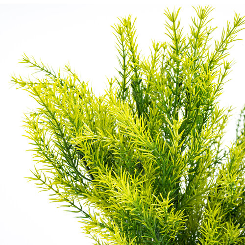 Művirág csokor Asparagus, 53 cm