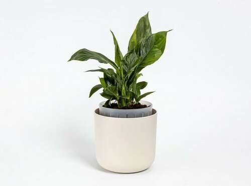 Plastia Doniczka samonawadniająca Tolita Air kremowy, śr. 19 cm