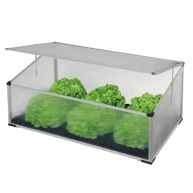 Frühbeet 100 x 30/40 x 60 cm, Polycarbonat