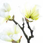 Umělá květina Magnolie bílá, 55 cm