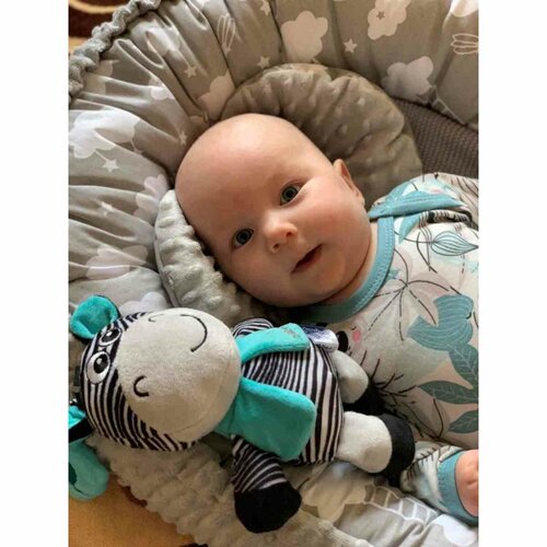 Baby Mix Edukačná hrajúca plyšová hračka s klipom Zebra, 17 cm