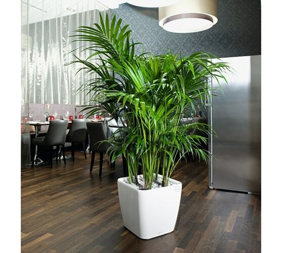 Lechuza Quadro LS 21 plastikowa doniczka samopodlebílá