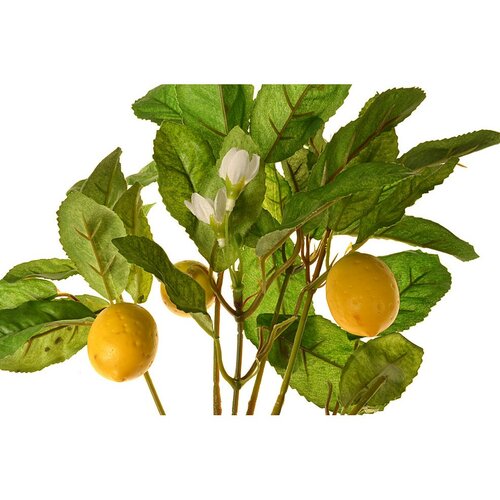 Mű mini citromfa terméssel, 30 cm