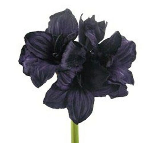 Umělá květina - Amarilis, fialová