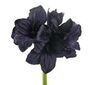 Umělá květina - Amarilis, fialová