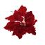 Veliki cvet Poinsetia, 23 x 19 x 23 cm