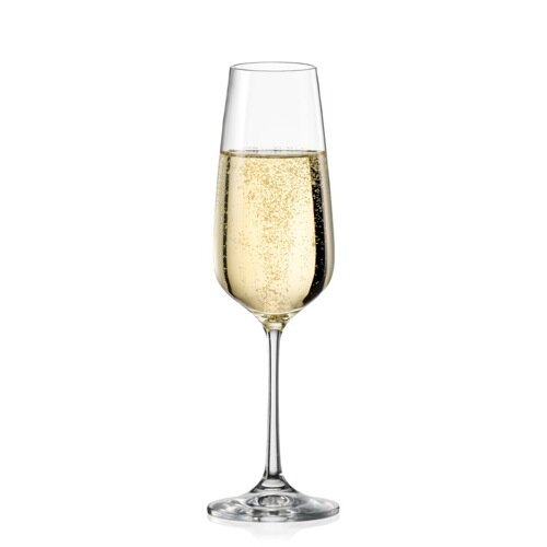 Crystalex 6-dielna sada pohárov na šampanské GISELLE, 190 ml