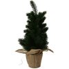 Dekorativni smrek temno zelena, 45 cm