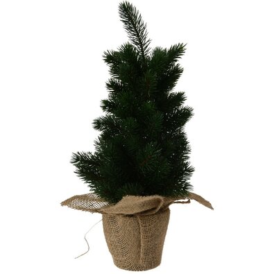 Dekorativni smrek temno zelena, 45 cm