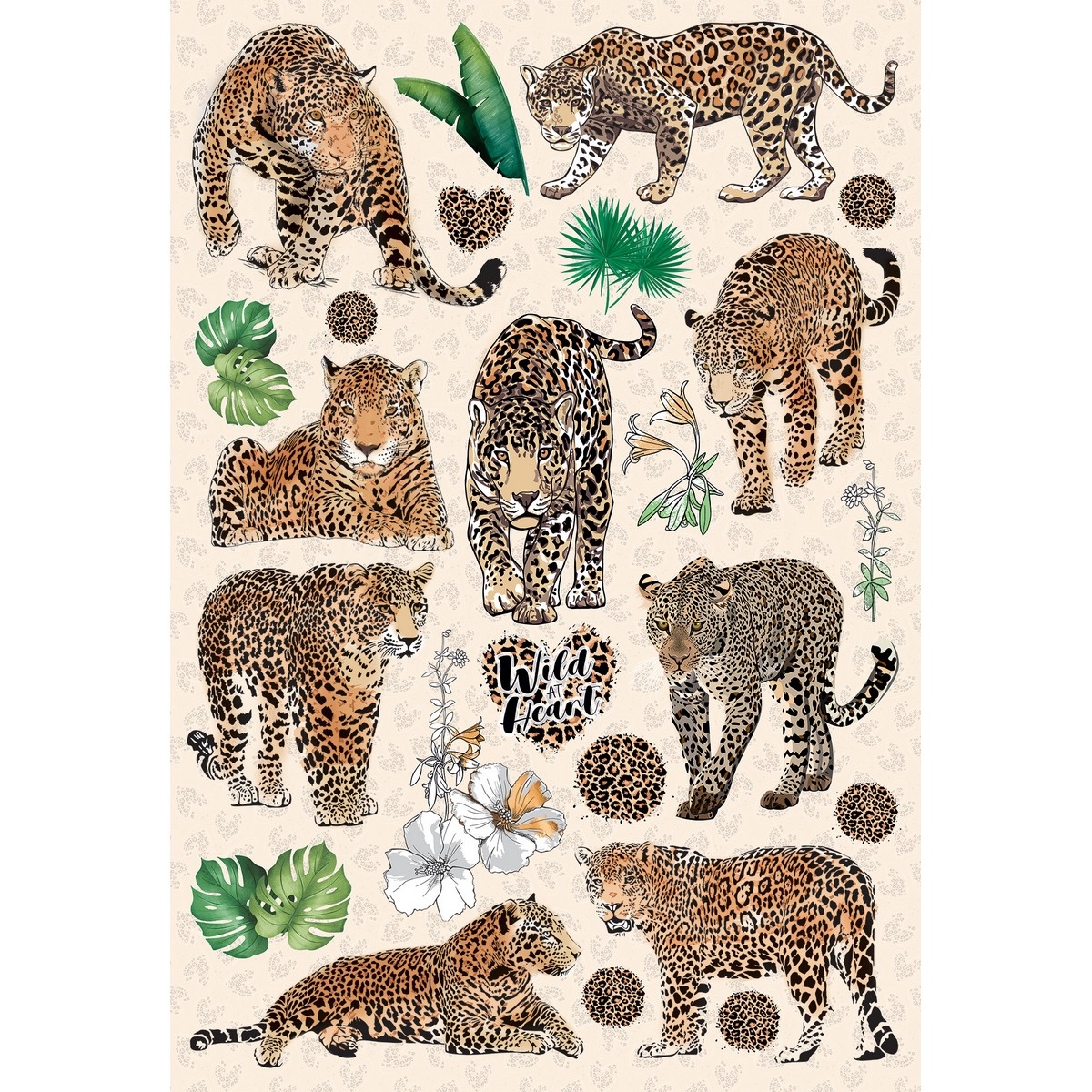 Fotografie Samolepící dekorace Tigers, 42,5 x 65 cm