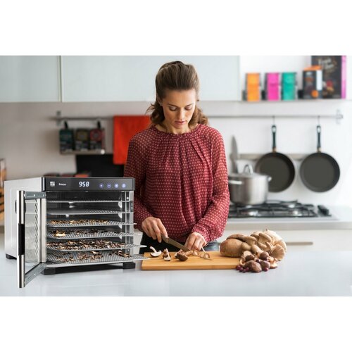 G21 Sušička ovoce Breezer, nerez