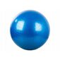 Gymnastický míč 65 cm s pumpičkou, modrá