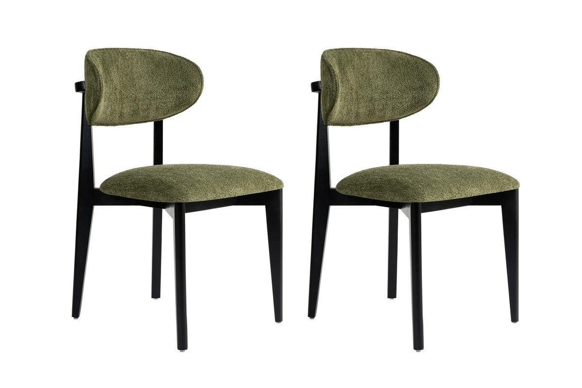 Súprava jedálenských stoličiek Lionte Green and Black, 2 ks