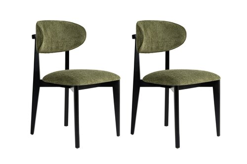 Esszimmerstuhl-Set Lionte Green and Black, 2 Stück