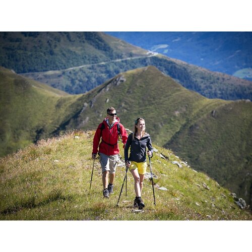 Nordic walking vychádzkové palice antishock, strieborná