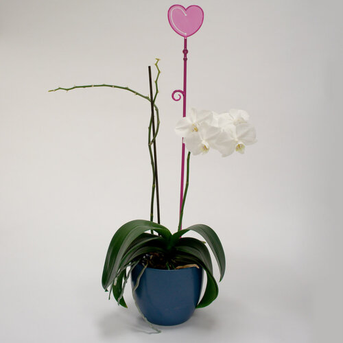 Plastia Orchidea pálca Szív lila, 60 cm