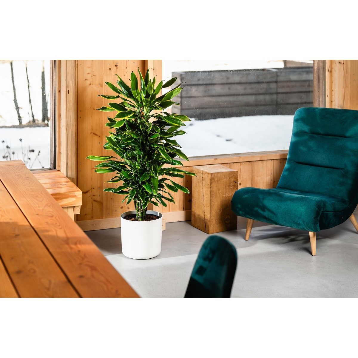 Gardenico Květináč Lora bílá, pr. 30 cm - thumb (1)