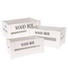 Komplet lesenih zabojev Wood Box, 3 kos, beli