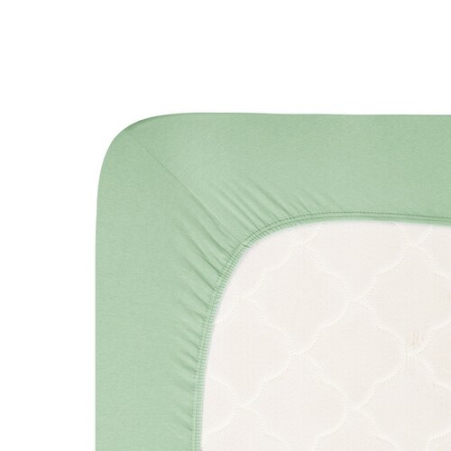 4Home jersey prestieradlo Lycra zelená, 100 x 200 cm