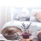 Sixtol Aroma-Diffusor Stone Graues Holz, 500 ml