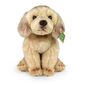 Rappa Plüss ülő labrador, 27 cm ECO-FRIENDLY