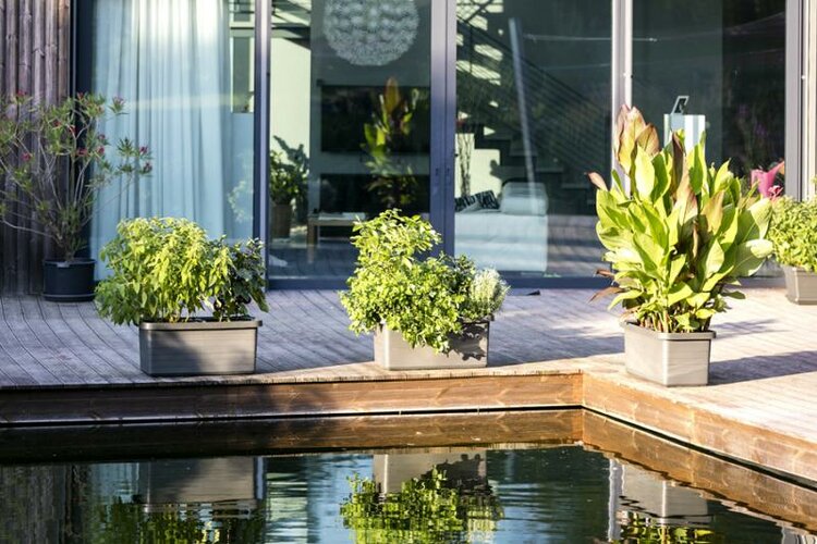 Selbstbewässernder Blumenkasten Berberis DUO, Terrakotta