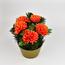 Dušičková dekorace s chryzantémami 23 cm, oranžová