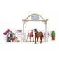 Schleich 42458 Гостьові коні, Ханна з самкою Рубі,40 x 30 x 20 см
