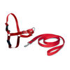 Шлейка PetSafe EasyWalk червона L