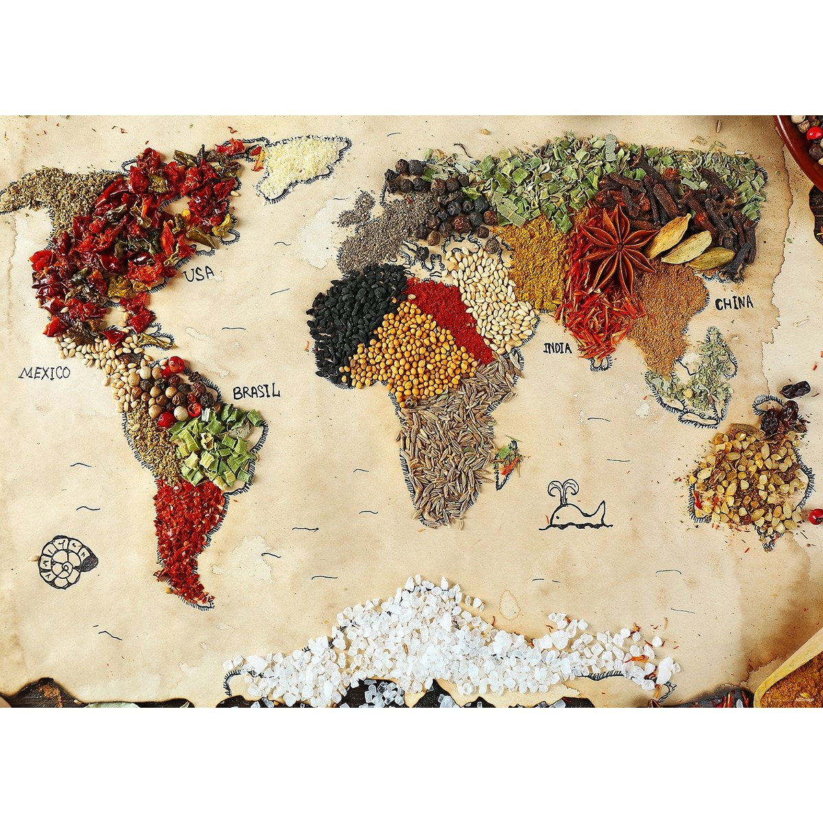 AG Art Fototapeta XXL Mapa korenia 360 x 270 cm, 4 diely