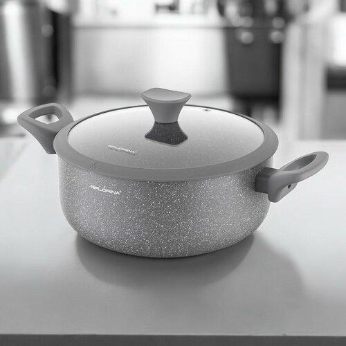 Florina Aluminijski lonec s pokrovom MateuszGessler, 24 cm, 4,2 l