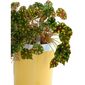 Samozavlažovací kvetináč Calimera B1, biela a žltá