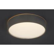 Rabalux 75010 stropné LED svietidlo Larcia, 18 W, strieborná