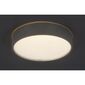 Rabalux 75010 oświetlenie sufitowe LED Larcia, 18 W, srebrny