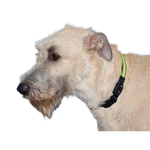 Tommi Wiederaufladbares LED-Halsband Größe L, 50 - 60 cm , Grün