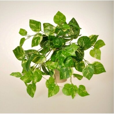 Umělá květina Pothos, 30 cm